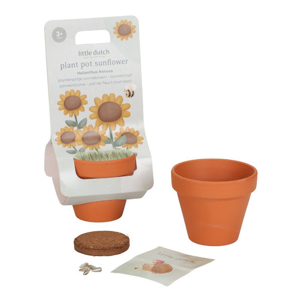 Little Dutch Potte med frø, solsikke