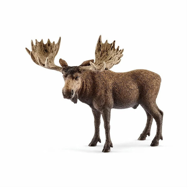 Schleich elg, han