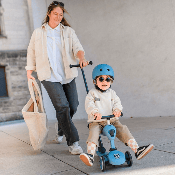 Scoot and Ride Highwaykick 1 Push & Go, Steel