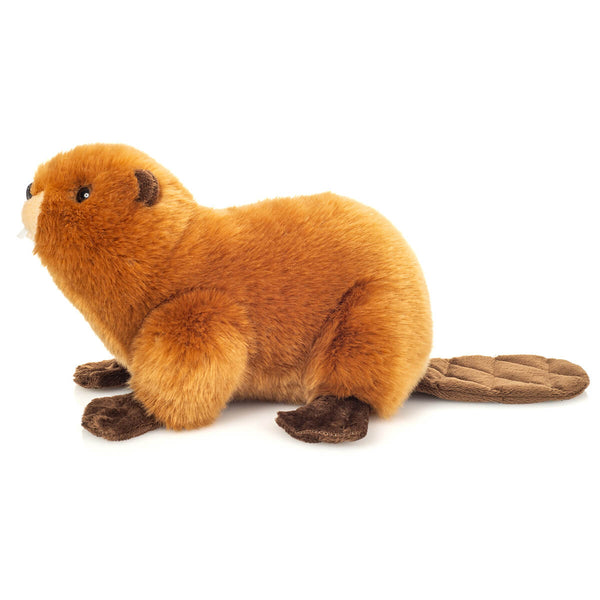 Teddy Hermann Bæver, 28 CM
