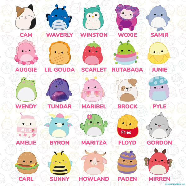Squishmallows Viskelæder Sæt, 25 Stk