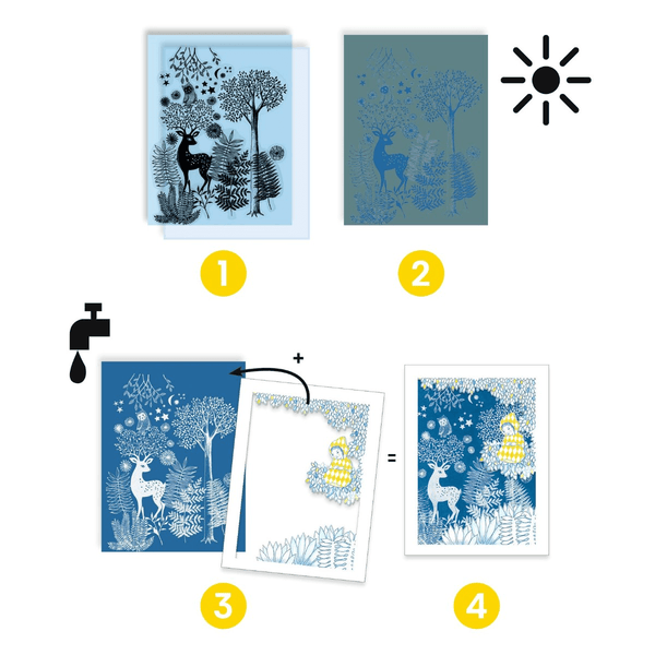 Djeco Cyanotype/lystryk, I måneskin