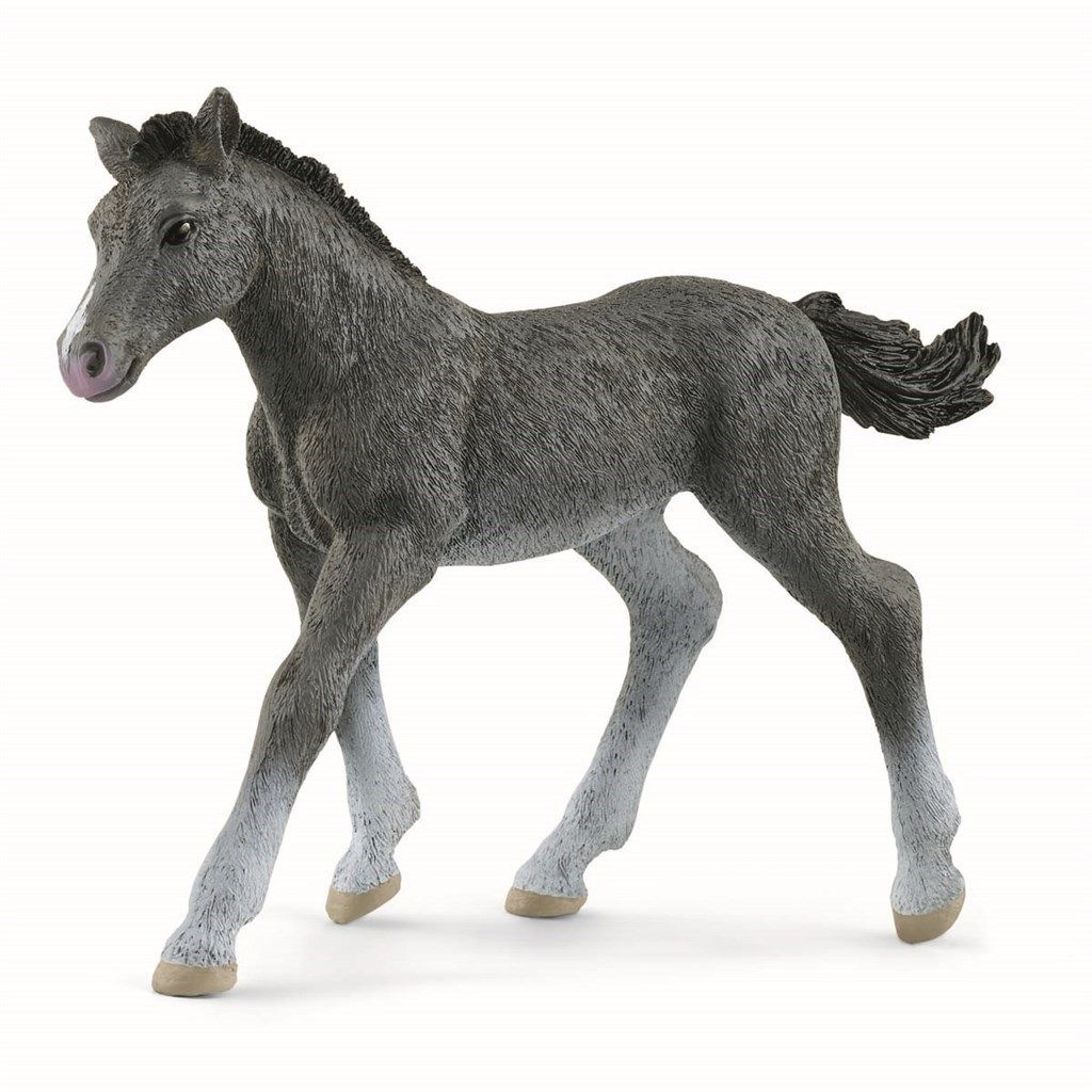 01_13944_Schleich-Trakehner-foel.jpg