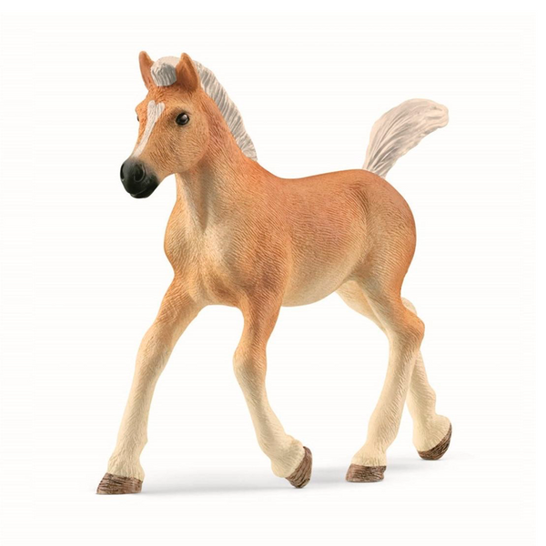 Schleich Haflinger føl