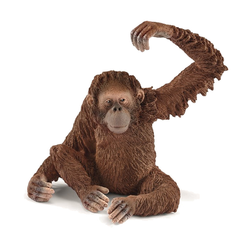 01_14775-schleich-dyr-orangutang.jpg