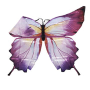 01_Great Pretenders sommerfuglevinger, ombre.jpg