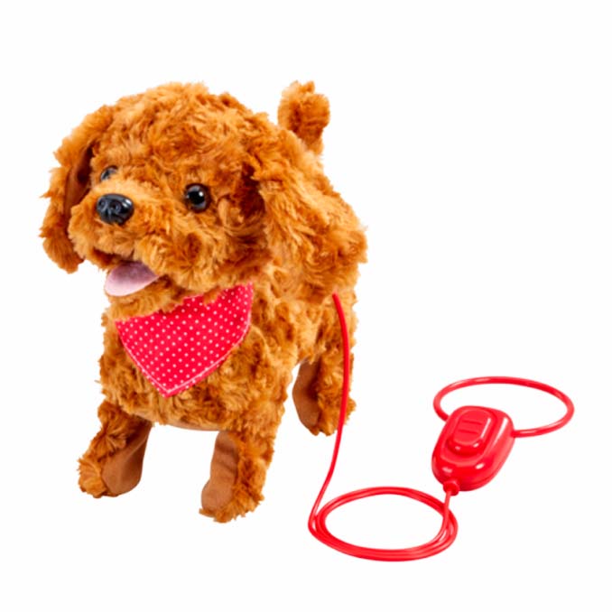 01_Happy Pets cockapoo I snor.jpg
