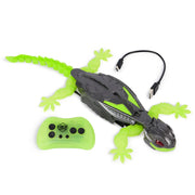 01_Hex Bots Nano Smart Geggo RC-2.jpg