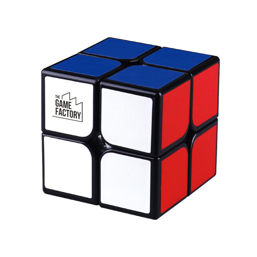 01_IQ terning, 2x2.jpg