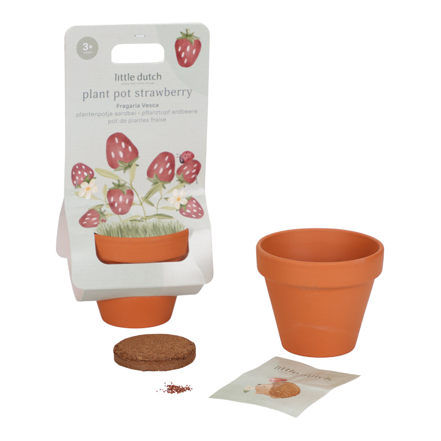 01_Little Dutch Potte med frø, jordbær.jpg