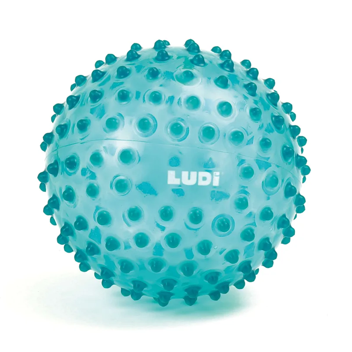 01_Ludi stor sansebold, blå.png