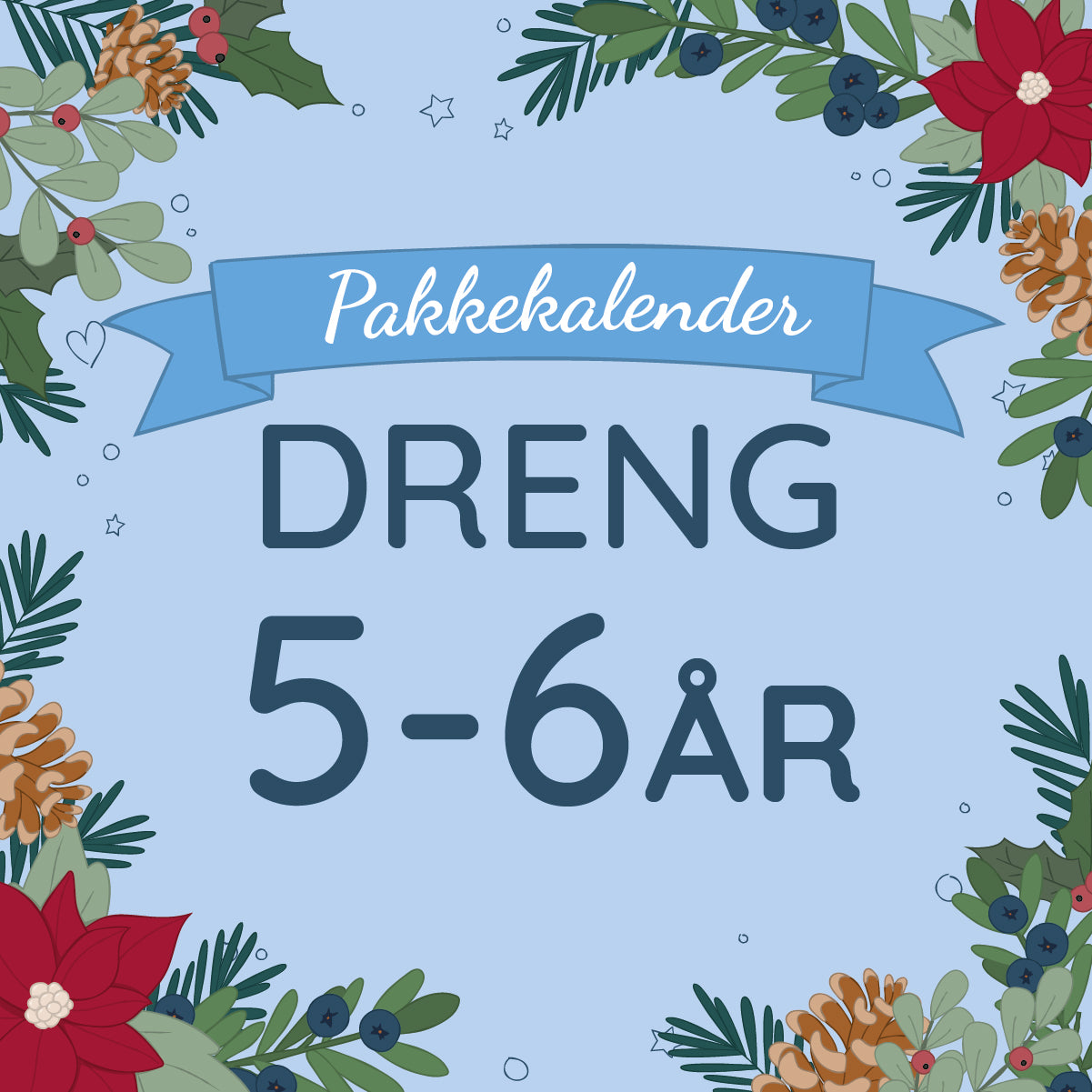 01_Pakkekalender-5-6-dreng.jpeg
