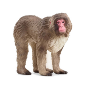 01_Schleich japansk makakabe.png