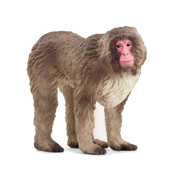 Schleich japansk makakabe