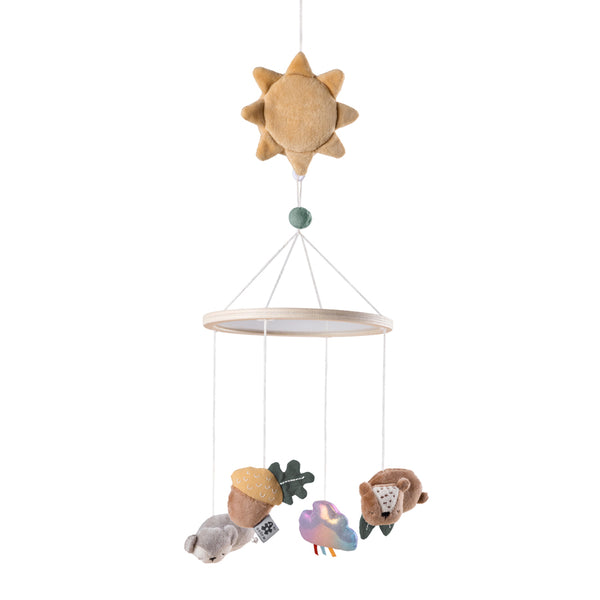 Sebra Musik- og Spejluro, Woodland