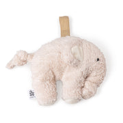 01_Sebra musikuro, fanto birchbark rose.jpg