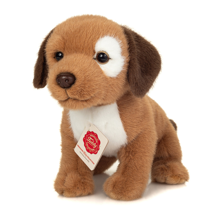 01_Teddy Hermann, Hundehvalpen Milow 25 cm.jpg