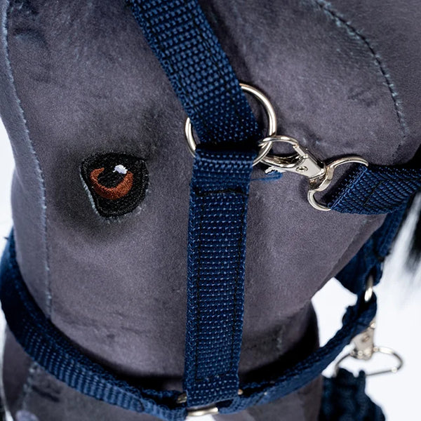 by Astrup Grime og træktov, blå