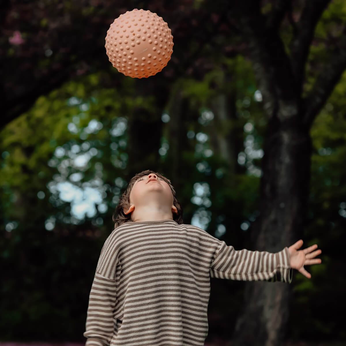 Find That Hippo Stor Sansebold, Desert Sand