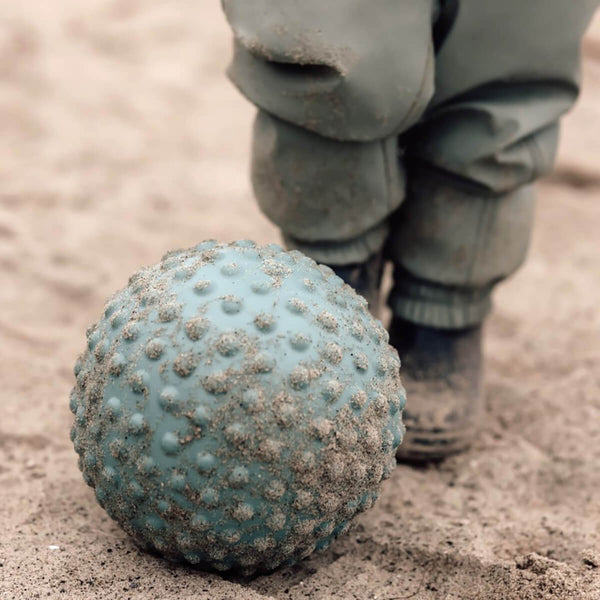 Find That Hippo Stor Sansebold, Weldon Blue