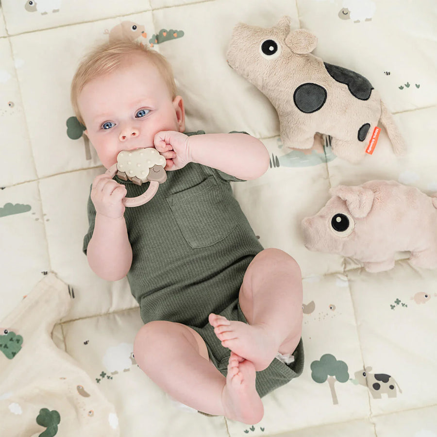 02_Done by Deer krammedyr ko, sand 1.jpg