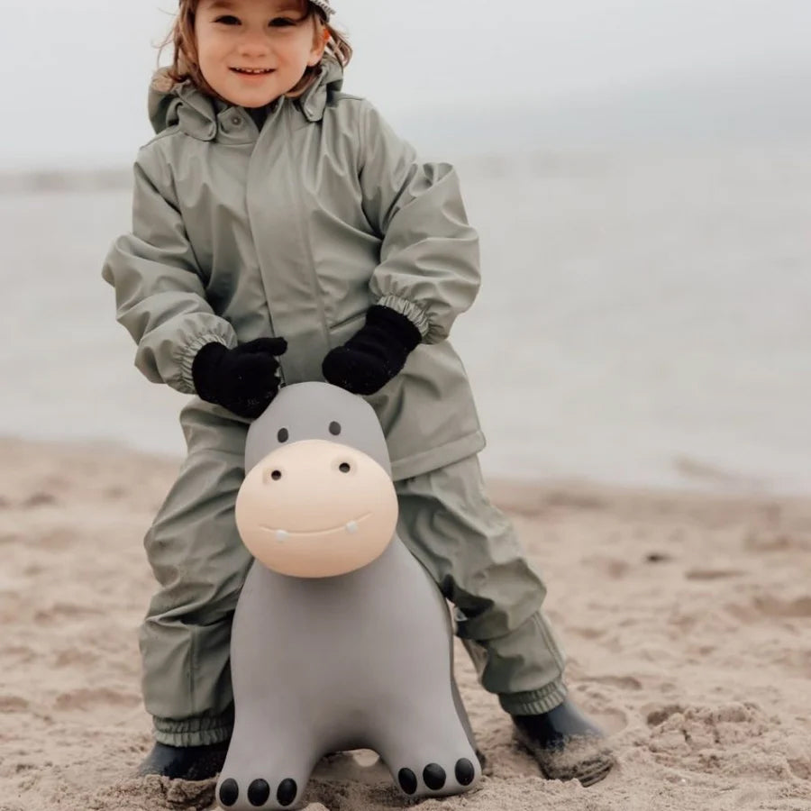 02_Find that hippo Hoppedyr, Flodhest 1.jpg