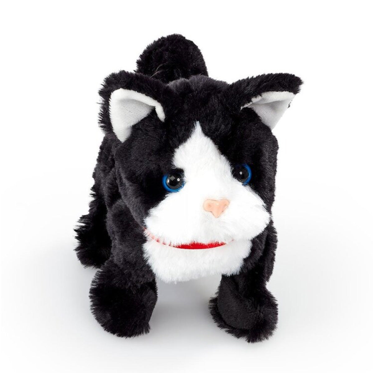 02_Happy Pets Pretty little kitty, sort.jpg