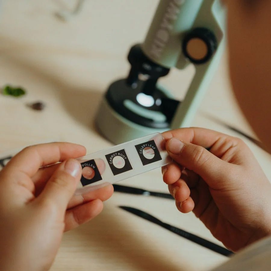 Kidywolf Mikroskop, Grøn