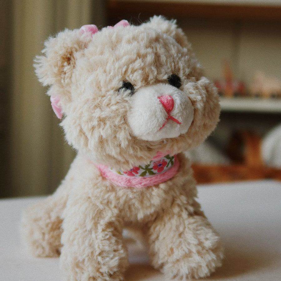 02_Konges Sløjd aktivitets kat 1.jpg