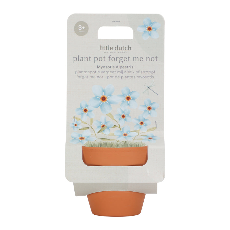 02_Little Dutch Potte med frø, forglem mig ej 1.jpg