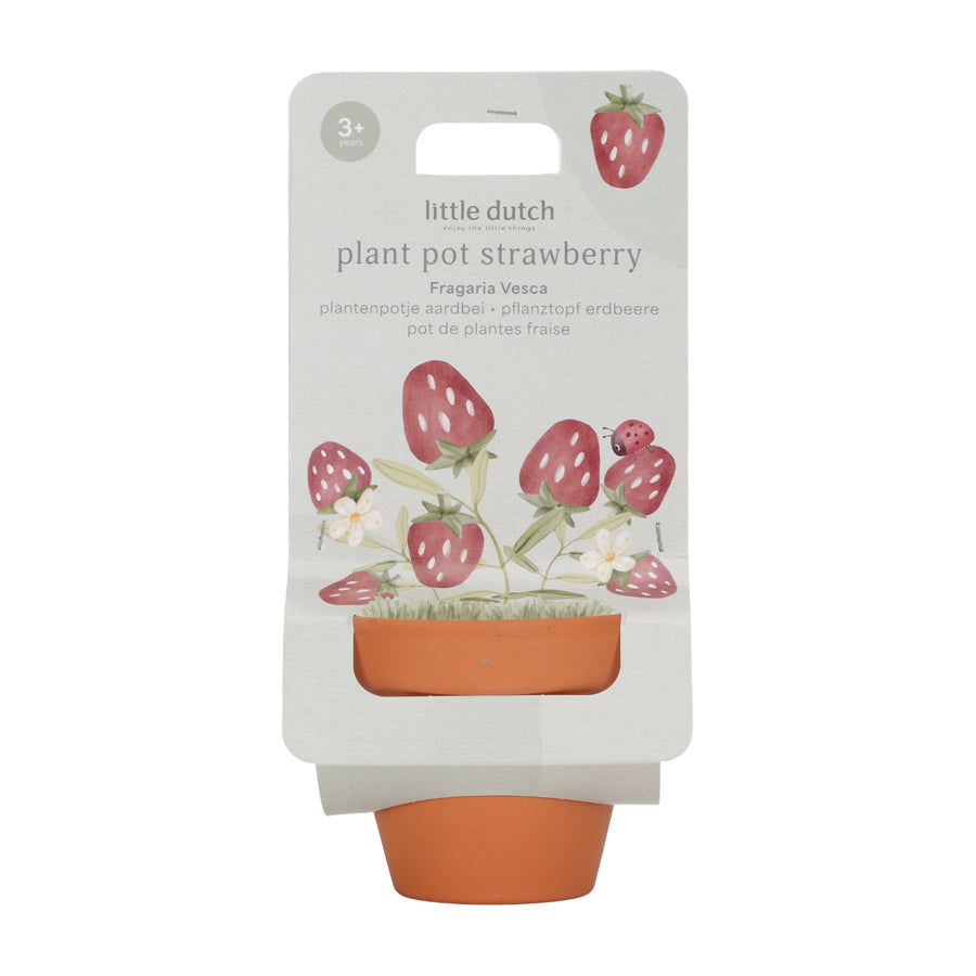 02_Little Dutch Potte med frø, jordbær 1.jpg