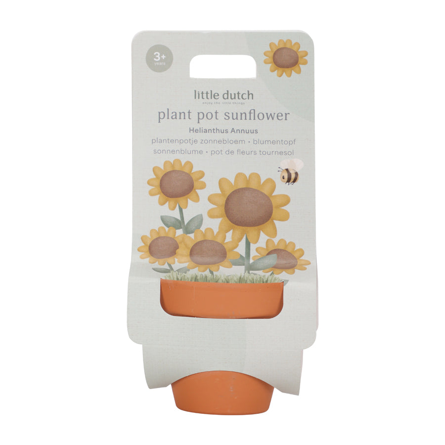 02_Little Dutch Potte med frø, solsikke 1.jpg