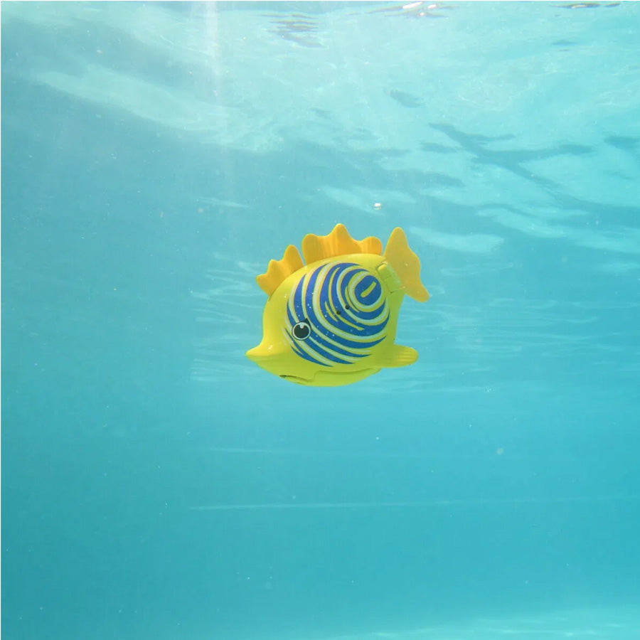 02_Rainbow Reef, zebra fisk 1.jpg