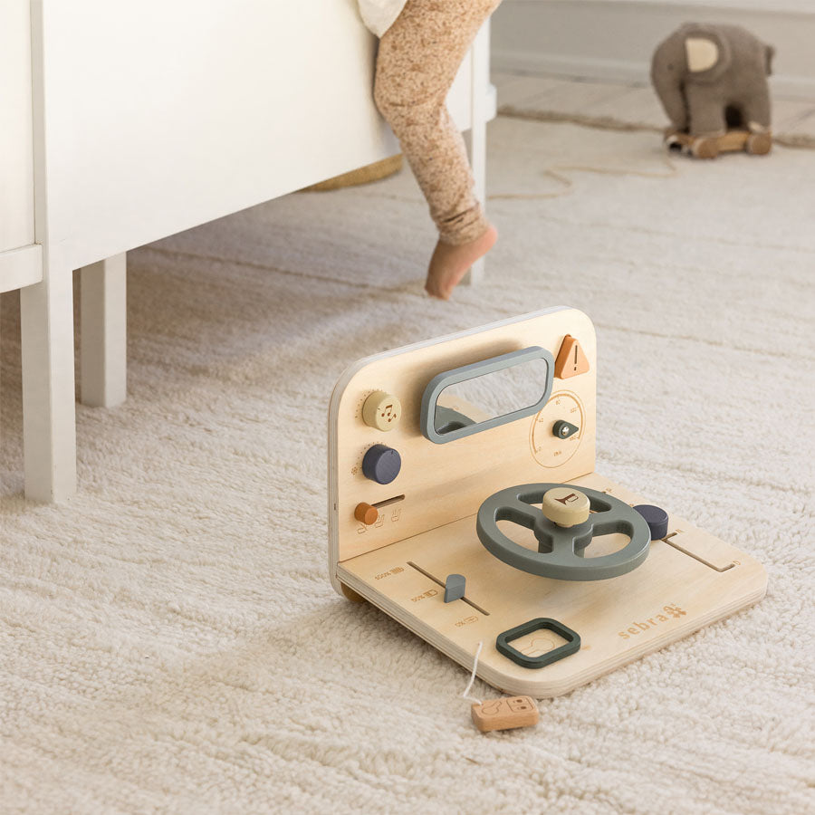 02_Sebra Aktivitetspanel, Bil 1.jpg