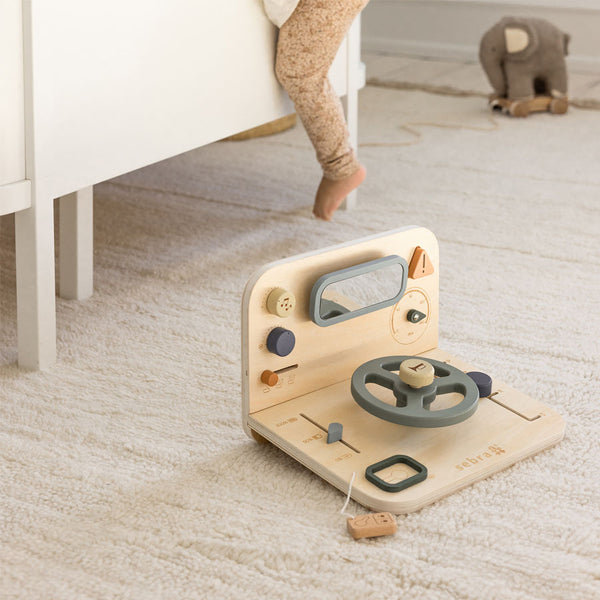 Sebra Aktivitetspanel, Bil