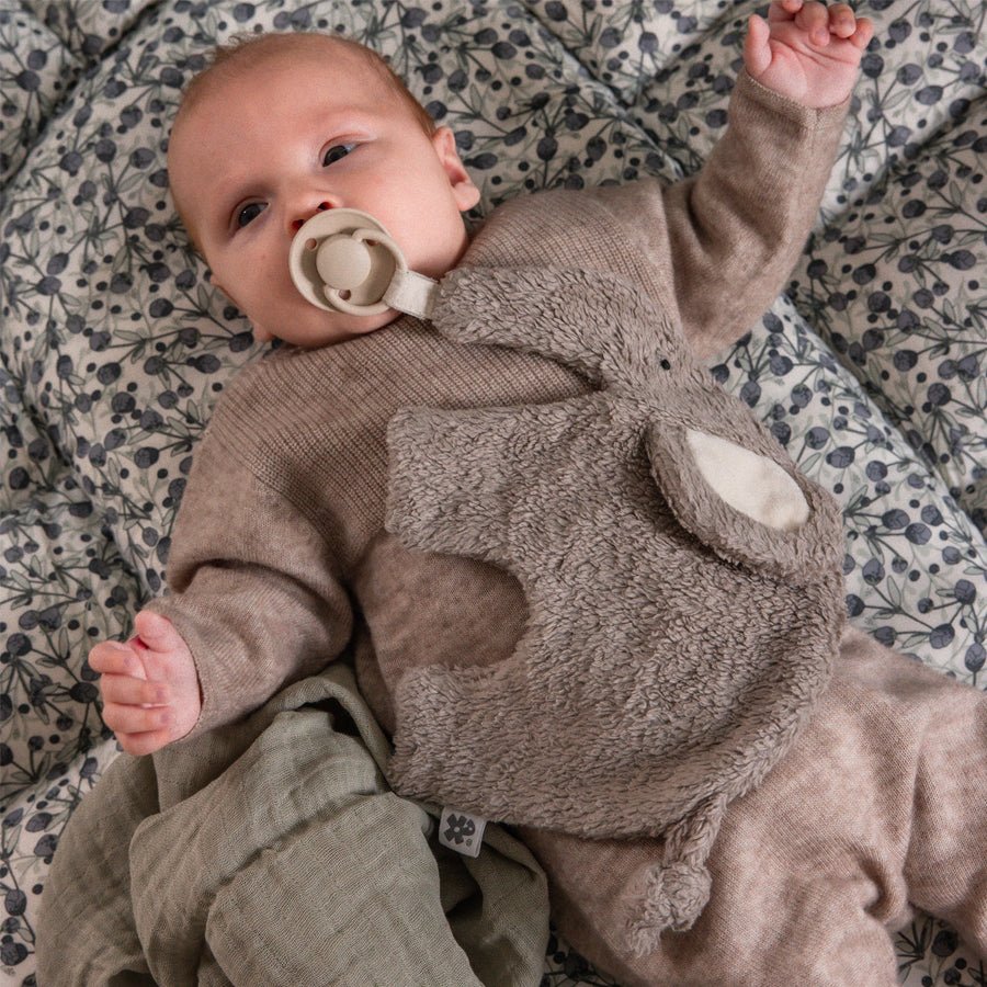 Sebra Nusseklud og sutteholder, Fanto grey