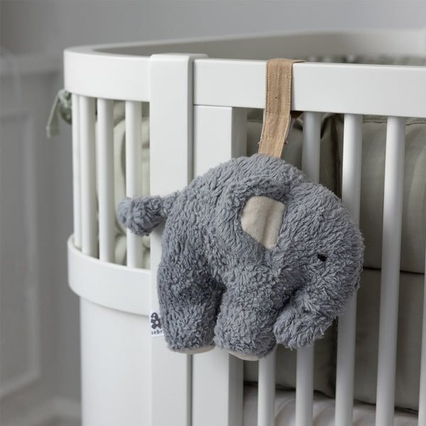 Sebra musikuro, fanto dusty blue