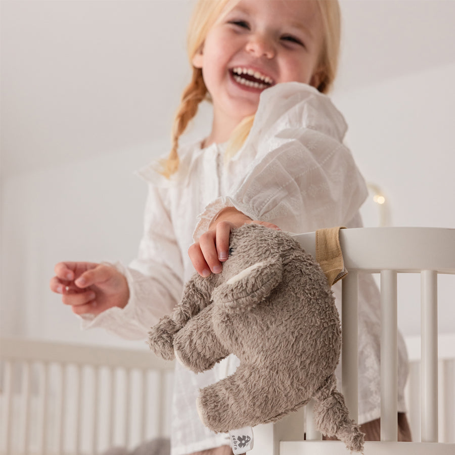 02_Sebra musikuro, fanto grey 1.jpg