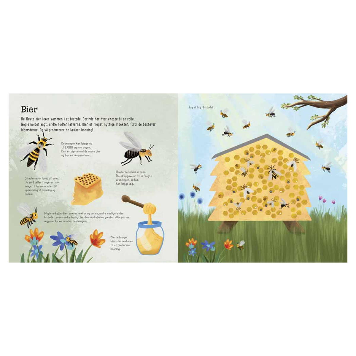 02_eg ser på ... små insekter-2.png