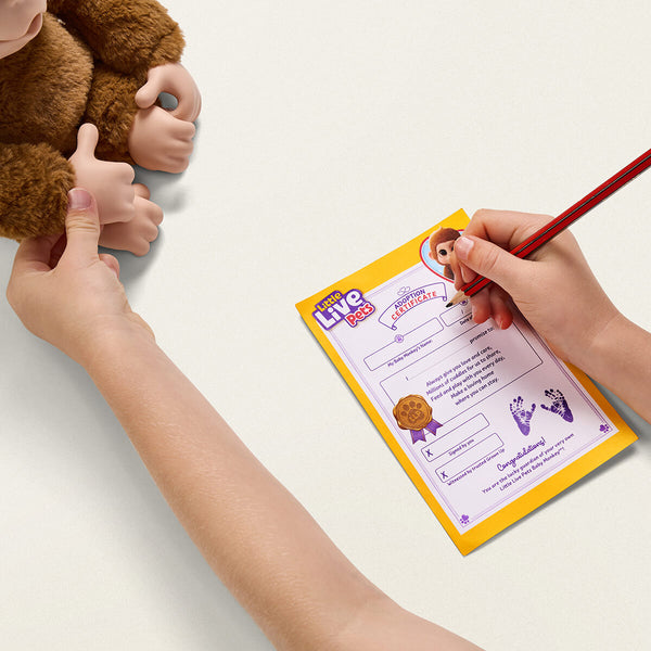 Little Live Pets, Min Baby Abe