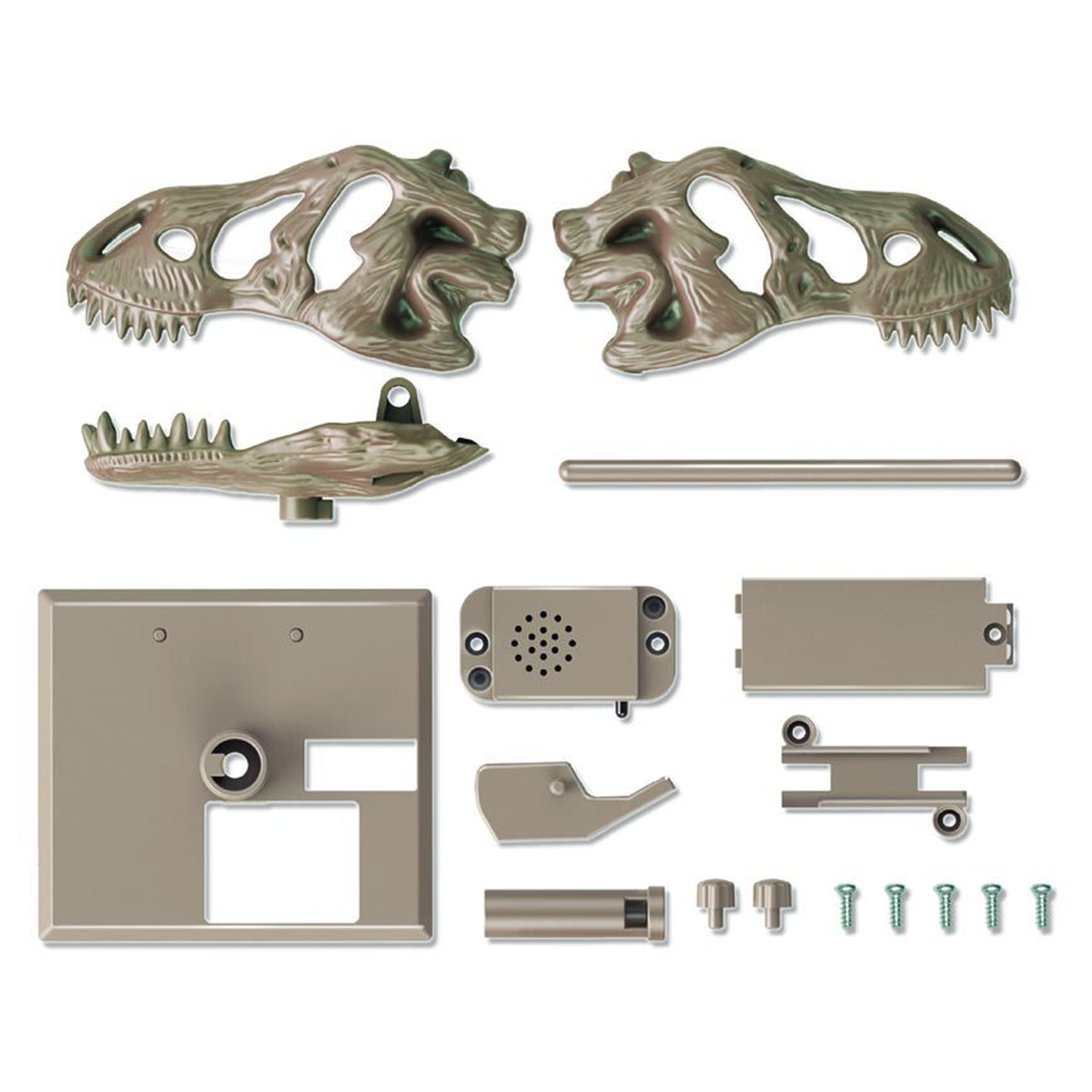 03_4M-03399_4M-KidzLabs-Roaring-T-Rex-skull-3.png