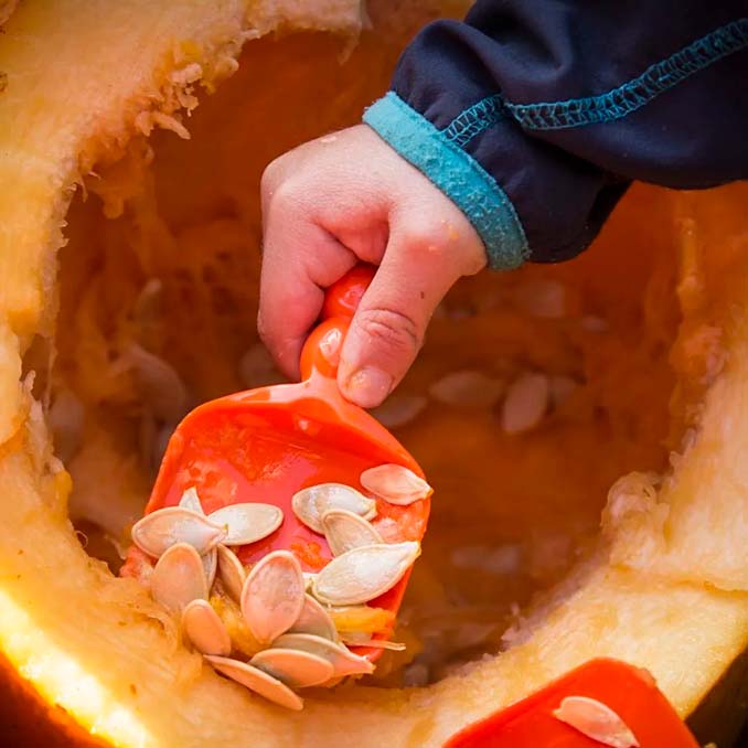 03_CC hobby græskarskæresæt.jpg