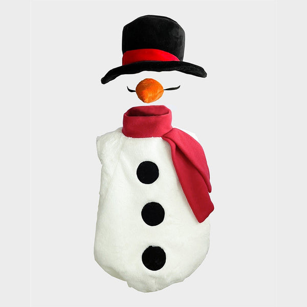 Den Goda Feen udklædning, Snemand