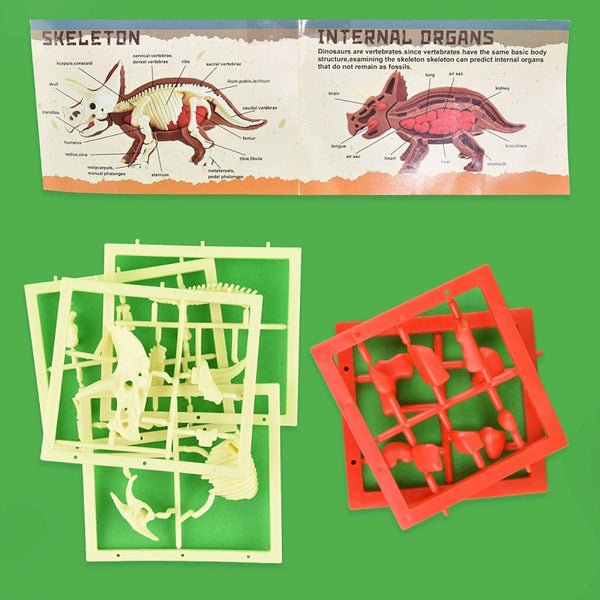 Dinosaur anatomi puslespil