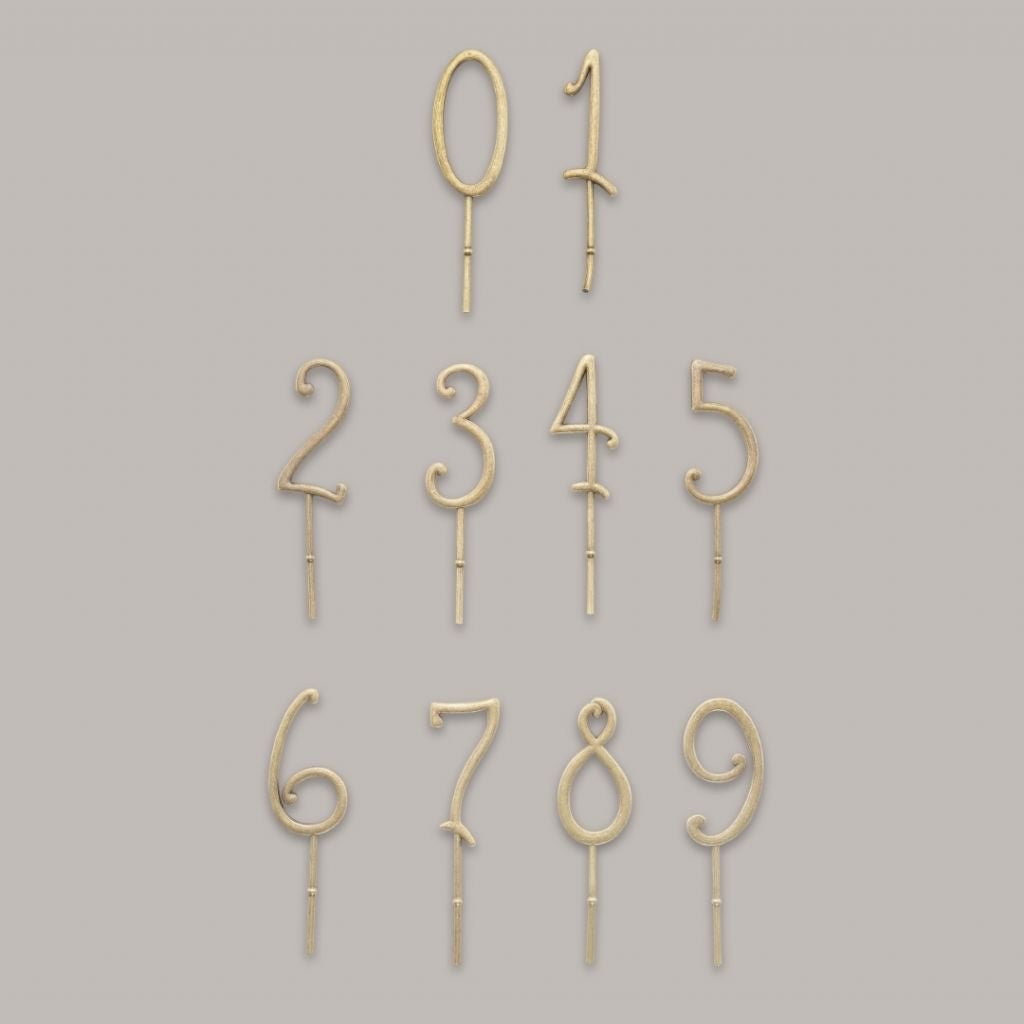 Konges Sløjd fødselsdagstog