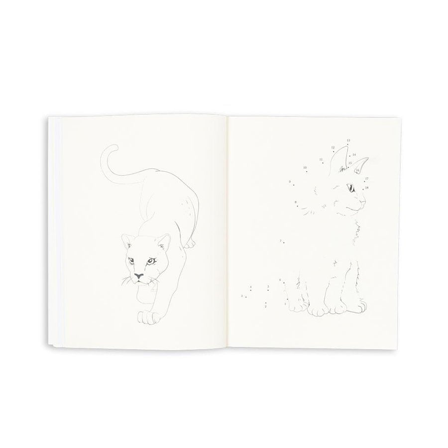 Konges Sløjd Aktivitets bog med farveblyanter