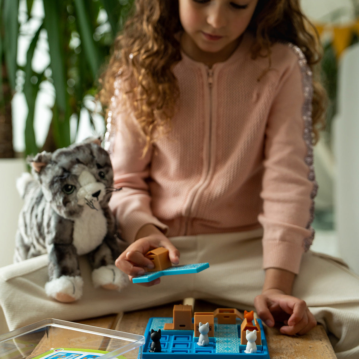 03_Smart Games- Cats & Boxes.jpg