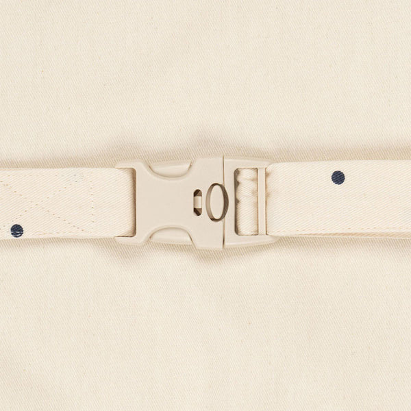 Bil Organizer i Navy Dot