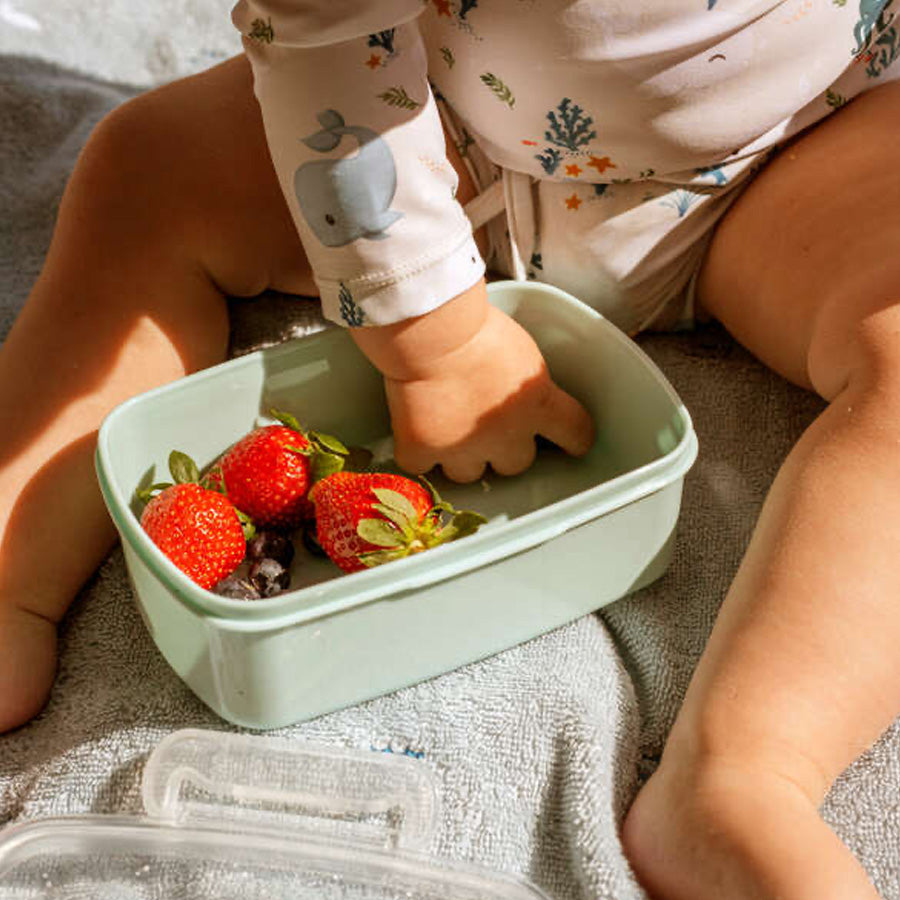 Christian´s Whale Tales Madkasser (2 stk)