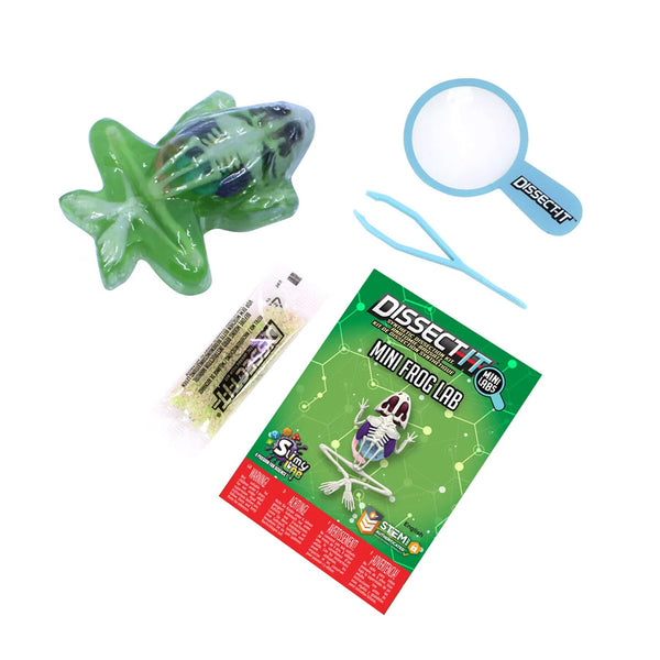 Dissect-it Sæt med Frø